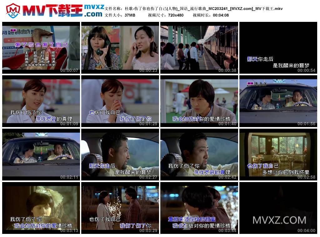 杜歌-伤了你也伤了自己(人物)_国语_流行歌曲_MC203241